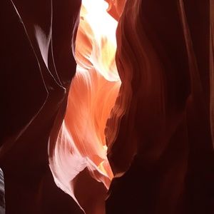 Meet your Posher, Judy